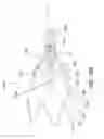 Fig. 43 - Abdominal aortic aneurysms: systems and methods of use