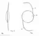 Fig. 04 - SELF-CENTERING PHAKIC REFRACTIVE LENSES WITH PARACHUTE DESIGN