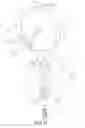 Fig. 07 - Long bone resurfacing bone lock