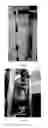 Fig. 34 - Rapid setting composite article