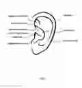 Fig. 02 - EARPIECE