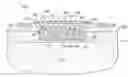 Fig. 01 - Patterned neo-epithelialization dressings, systems, and methods