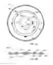 Fig. 09 - WOUND DRESSING OF CONTINUOUS FIBERS