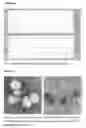 Fig. 03 - Nanostructured conditioning cosmetic composition, the use thereof in cosmetic preparations, and a conditioning shampoo