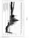 Fig. 02 - Use of stabilized granules containing glyceryl trinitrate for arteriogenesis