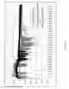 Fig. 06 - Use of stabilized granules containing glyceryl trinitrate for arteriogenesis