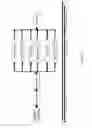 Fig. 31 - Use of stabilized granules containing glyceryl trinitrate for arteriogenesis