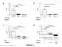 Fig. 02 - Therapeutic for treating inflammatory lung disorders
