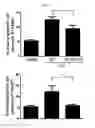 Fig. 09 - Composition for preventing or treating bacterial infectious disease comprising phospholipase D2 inhibitor