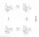 Fig. 07 - Cannabinoid receptor modulators