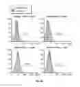 Fig. 08 - COMPOSITIONS AND METHODS FOR THE PREVENTION AND TREATMENT OF AUTOIMMUNE CONDITIONS