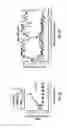 Fig. 13 - COMPOSITIONS AND METHODS FOR THE PREVENTION AND TREATMENT OF AUTOIMMUNE CONDITIONS