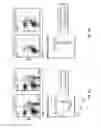 Fig. 18 - COMPOSITIONS AND METHODS FOR THE PREVENTION AND TREATMENT OF AUTOIMMUNE CONDITIONS