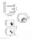 Fig. 21 - COMPOSITIONS AND METHODS FOR THE PREVENTION AND TREATMENT OF AUTOIMMUNE CONDITIONS