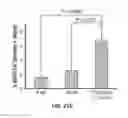 Fig. 32 - COMPOSITIONS AND METHODS FOR THE PREVENTION AND TREATMENT OF AUTOIMMUNE CONDITIONS