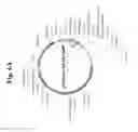 Fig. 07 - Nucleic acids for treatment of allergies