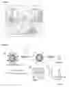 Fig. 02 - NANOSTRUCTURE CONJUGATES FOR MODULATION OF LOCATION-SPECIFIC SUBTYPES OF RECEPTORS AND ION CHANNELS
