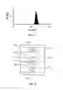Fig. 08 - HIGHLY PARALLELIZED DROPLET MICROFLUIDIC APPARATUS