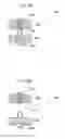 Fig. 33 - Hat-shaped cross-section component manufacturing apparatus and manufacturing method