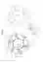 Fig. 06 - Centrifugal projector and blade