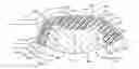 Fig. 01 - Aerodynamically efficient spoke design for a vehicle wheel