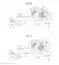 Fig. 05 - Transport apparatus and printer apparatus