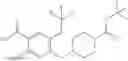 Fig. 511 - Quinazolinone and isoquinolinone derivative