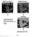 Fig. 02 - Pyrazolopyridazines and methods for treating retinal-degenerative diseases and hearing loss associated with usher syndrome