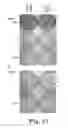 Fig. 09 - ADENO-ASSOCIATED VIRUS 