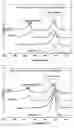 Fig. 05 - Polylactic acid stereocomplex composition, its molded product, a process for its manufacture and its application