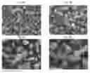 Fig. 09 - Abrasive particles having a unique morphology