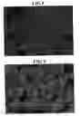 Fig. 07 - Cerium oxide abrasive, method for producing cerium oxide abrasive, and polishing method