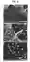Fig. 08 - Method of preparing graphene-graphene fused material and method of preparing graphene-substrate composite using the same