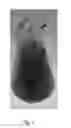Fig. 02 - Methods of successive elution of components of hydrocarbons