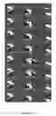 Fig. 09 - Fluidic device for producing platelets