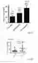 Fig. 41 - Generating definitive endoderm and pancreatic progenitor cells