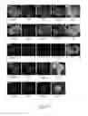 Fig. 44 - Generating definitive endoderm and pancreatic progenitor cells