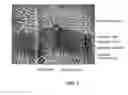 Fig. 02 - Engineered liver tissues, arrays thereof, and methods of making the same
