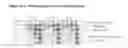 Fig. 05 - Activated Sugars