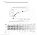 Fig. 13 - Activated Sugars