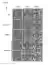 Fig. 08 - MANIPULATION OF PLASMODESMAL CONNECTIVITY TO IMPROVE PLANT YIELD AND FITNESS
