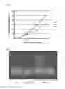 Fig. 10 - MANIPULATION OF PLASMODESMAL CONNECTIVITY TO IMPROVE PLANT YIELD AND FITNESS
