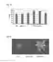 Fig. 12 - MANIPULATION OF PLASMODESMAL CONNECTIVITY TO IMPROVE PLANT YIELD AND FITNESS