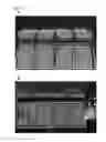 Fig. 14 - MANIPULATION OF PLASMODESMAL CONNECTIVITY TO IMPROVE PLANT YIELD AND FITNESS