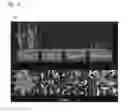 Fig. 15 - MANIPULATION OF PLASMODESMAL CONNECTIVITY TO IMPROVE PLANT YIELD AND FITNESS