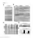 Fig. 22 - MANIPULATION OF PLASMODESMAL CONNECTIVITY TO IMPROVE PLANT YIELD AND FITNESS