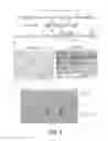 Fig. 07 - METHODS AND MATERIALS FOR PRODUCING TRANSGENIC ARTIODACTYLS