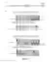 Fig. 08 - METHODS AND MATERIALS FOR PRODUCING TRANSGENIC ARTIODACTYLS