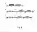 Fig. 02 - Expression system for producing protein having a N-terminal pyroglutamate residue