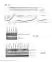 Fig. 07 - METHODS OF DETERMINING BREAST CANCER PROGNOSIS